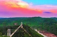 热门文章