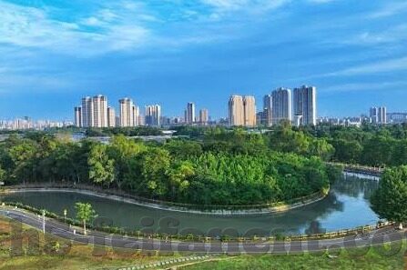 卡塔尔今天足球比分-卡塔尔今日足球赛场,比分背后的激情与梦想