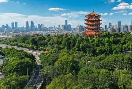 欧洲足球实时比分-欧洲足球实时比分,绿茵烽火,瞬息万变的数字盛宴