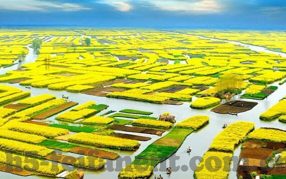 球探网1足球比分-球探网1足球比分,实时数据背后的足球世界观察窗