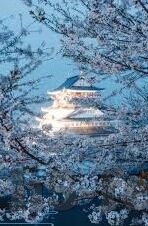 球探网老版足球比分-怀旧之旅,重温球探网老版足球比分,那些足球记忆的时光机