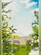 足球比分受让-足球比分受让,策略、风险与机遇的深度剖析